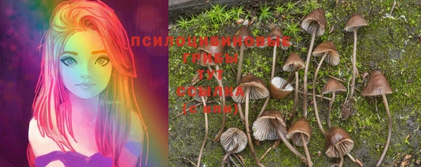дмт Белокуриха
