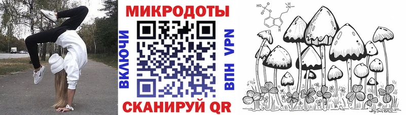 Галлюциногенные грибы Magic Shrooms  Купить  Елизово 